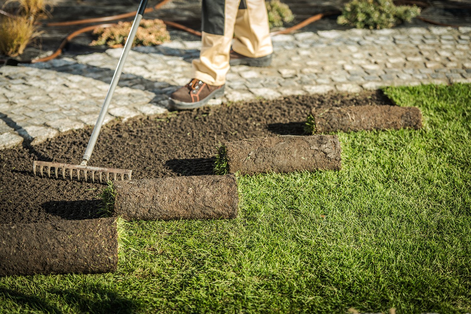 Ecograss Landscaping Expands Premier Lawn Care Services in Springdale and Fayetteville, AR